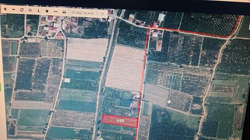 Bereketli Merkezde Portakal Bahçesi