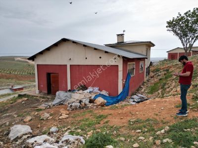 Oğuzeli Çaybaşı Mah. 2.586 M2 Ahır Yeri. Kapalı Alan Ve Ev Var