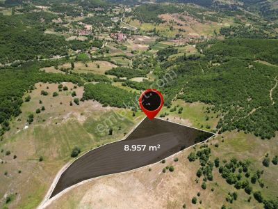 ▀▄artı'dan Sındırgı Kınık'ta Çift Kadastro Yollu Satılık 8957 M2 Tarla ▀▄