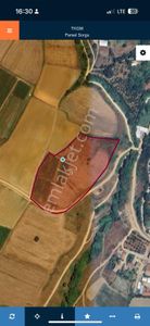 Dekor Emlaktan Bandırma'nın Yeşil Cenneti Eriklide Muazzam Tarla