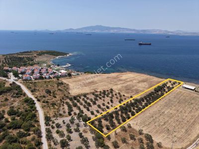 Çaltılıdere Denize Sıfır Fırsat Tarla