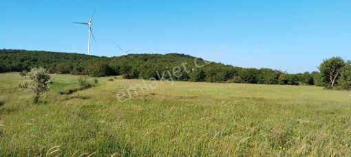 Asker Emlak'tan Unçukuru'da Satılık Tarla