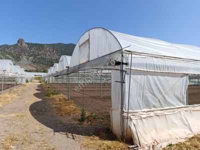 Yzg Den Sarıcakaya Beyköy Mh.satılık Kurulu Düzen Fırsat Tarla