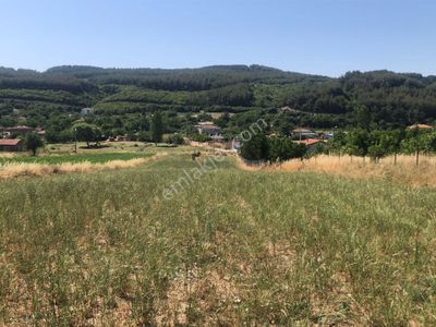 Şarköy De Işık Emlaktan Gölcuk Mah De İki Tapu 4750 M2 0/75 İmarlı Arsa