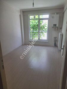 Sahibinden 1+1 Sütlüce Mh.