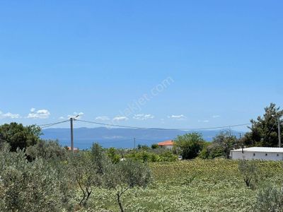 Kızılcaterzi Mah. İmarlı Arsa