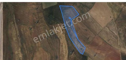 Sahibinden Tek Tapulu Düz Alan Tarla