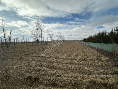 Öztelden Yukarısöğütönü 3.030 M2 Satılık Müstakil Tapupulu Tarla