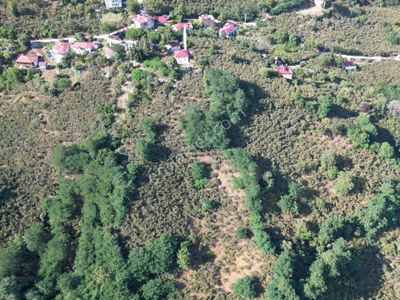 Fiyat Düştü/perşembe/ Kozağzı Mahallesin'de Satılık Fındık Bahçesi