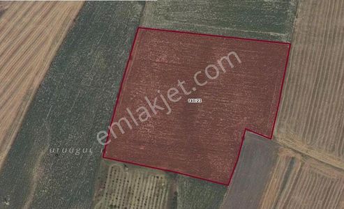 Sahibinden Deprem Tehdidinden Uzak Meyvelik / Fidanlık İçin Arazi