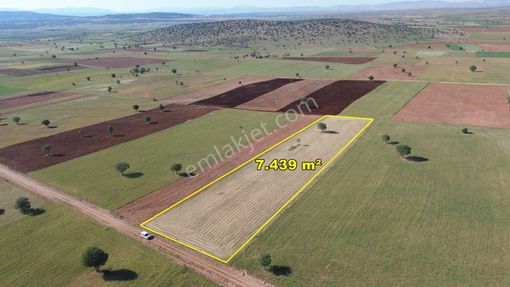 Konya / Akören / Alan 7.439 M² Müstakil Verimli Tarla