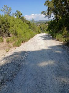 Manavgat Boz Tepede Köyün İçinde Kadastro Yola Cephe Çiftlik Villa Ev Yapmaya Uygun