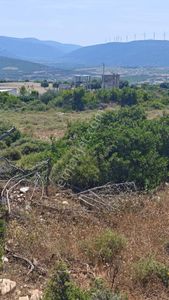 Didim'de Satılık Yatırımlık Arsa