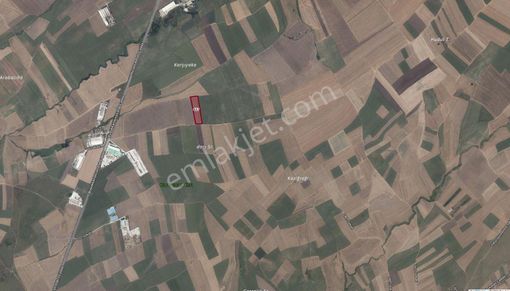 Tekirdağ Muratlı Rota Emlak Ballıhoca Mah Satılık Uygun Tarla Fiyatı Düşürdük!!!!