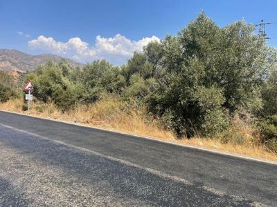 Nazilli Kardeşköy Mahallesi Satılık Tarla