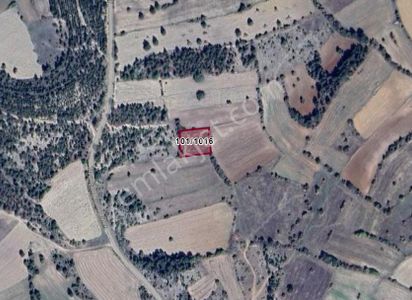 Kütahya Emet Uzunçam Köyünde 1.713 M² Tarla Satılıktır