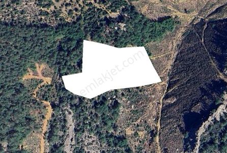 Gazipaşa Öznurtepe Köyünde Satılık 27 Dönüm Tarla – Takasa Uygun, Yolu Ve Temizliği Hazır