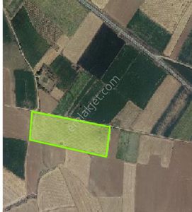 Sarioglan Çiftlik’te Sahibinden Satılık Tarla