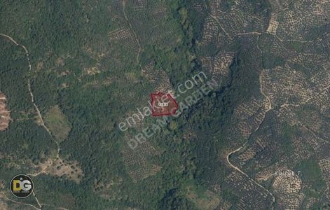 Bursa Orhangazi Yeni Solöz 4,2 Dönüm Fırsat Tarla