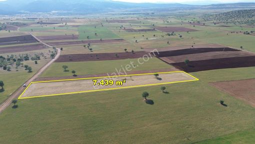 Konya / Akören / Alan 7.439 M² Müstakil Verimli Tarla