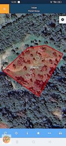 Güzelbahçe Yelki De Yatırımlık Zeytinlik