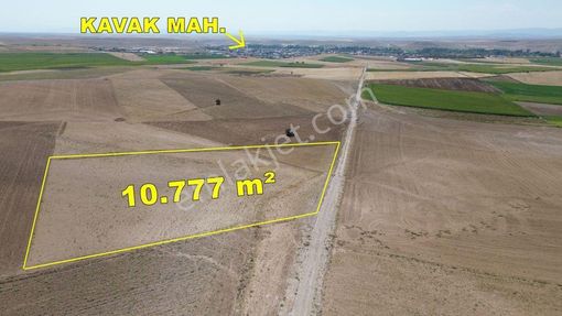 Konya / Meram / Kavak'da 10.777 M² Müstakil Tapu Tarla
