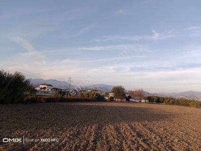 Aydın Nazilli Çapahasan Mahallesinde Satılık Uygun Fiyatta Arsa