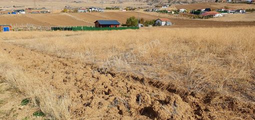 Sahibinden Ömerli 48. Sokak 657 M2