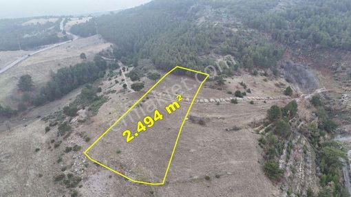 Konya / Doğanhisar / Kemer Mahallesinde 2.494 M² Müstakil Tapulu Tarla