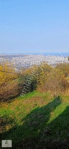 Avantaj Gayrimenkul'den Canik Düvecik Satılık İmarlı Arsa