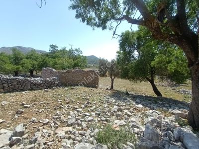 Joker: Marmaris Taşlıca Resmi Yol Cephe Yerleşime Yakın Tarla