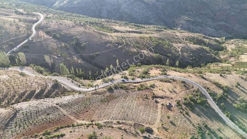 Konya / Hadim / Göynükkışla Mahallesinde 2.126 M² Müstakil Tapulu Bağ