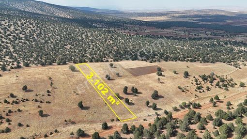 Konya / Akören / Karahüyük Mahallesinde 3.102 M² Müstakil Tapulu Tarla