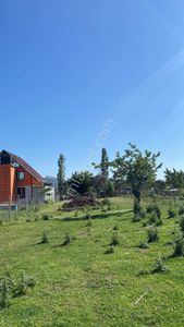 Erdek Hamamlıda, 1.196 M2, Etrafı Çevrili Ve Çeşitli Yapılar Bulunan Satılık Tarla