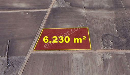 Konya / Akören / Orhaniye Mahallesinde 6.230 M² Müstakil Tapulu Tarla