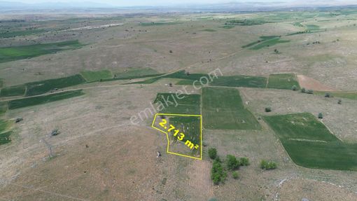 Konya / Akören / Orhaniye Mahallesinde 2.713 M² Müstakil Tapulu Tarla