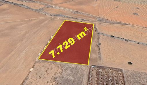 Karaman / Kazımkarabekir / Pazar Mahallesinde 7.729 M² Müstakil Tapulu Tarla