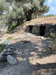 Doğadan Milas Kayabaşında Toplam 10 Dönüm 3 Parsel Arazi