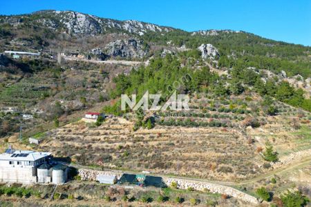 Alanya Yaylakonak’ta 3.299 M² Satılık Tarla