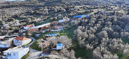 Bergama Sindel'de Satılık Çiftlik