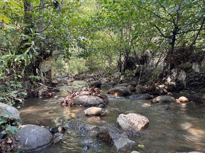 ▀▄mera Emlaktan Tuzcumurat Mah. Dereye Cephe Emsalsiz Zeytinlik