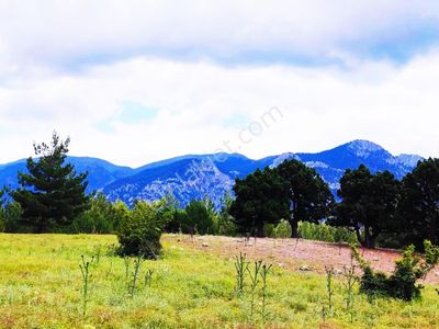 Kar Emlaktan Alpu Yaylasında 480 M2 Satılık Arsa