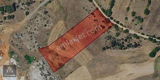 Geleceğe Yatırım: Dursunbey Ericek Köyü 8.458 M² Tarla