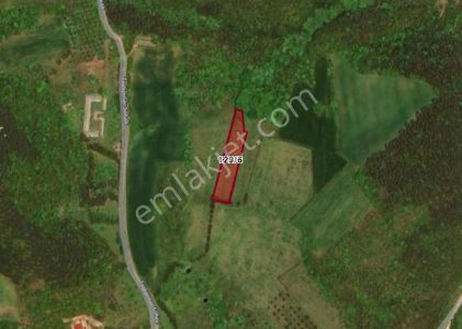 Yalova Çiftlikköy Kabaklı Köyünde 2.532 M² Tarla Satılıktır