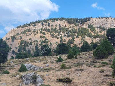 Kar Emlaktan Hamidiye Köyünde 460 M2 Satılık Arsa