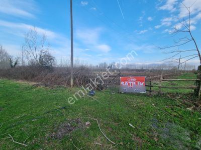 Akgün Kurumsal'dan Çarşamba'da 9635 M2 Satılık Tarla