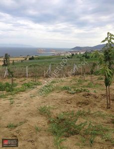 Rw* Tekirdağ Süleymanpaşa'da Deniz Gören İmarlı Arsa