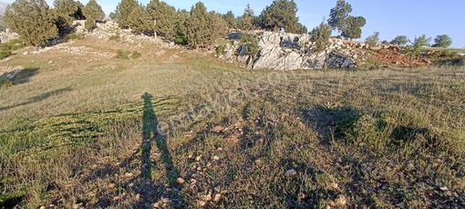 Muğla Seydikemer Yayla Karaçulha Müstakil Tapulu 970 M2 Arazi