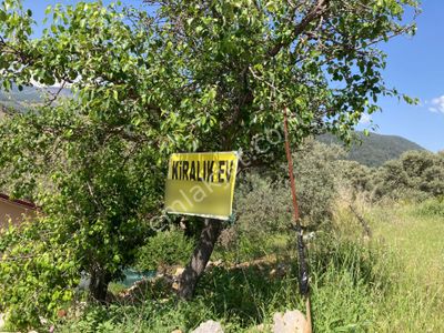 Köye Yakın Tarla Kıran Köyü