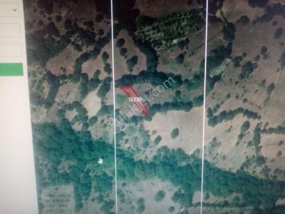 Balıkesir Dursunbey Şabanlar Mah.demirdağ Emlaktan Satılık Tarla.